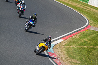 Middle Group Yellow Bikes